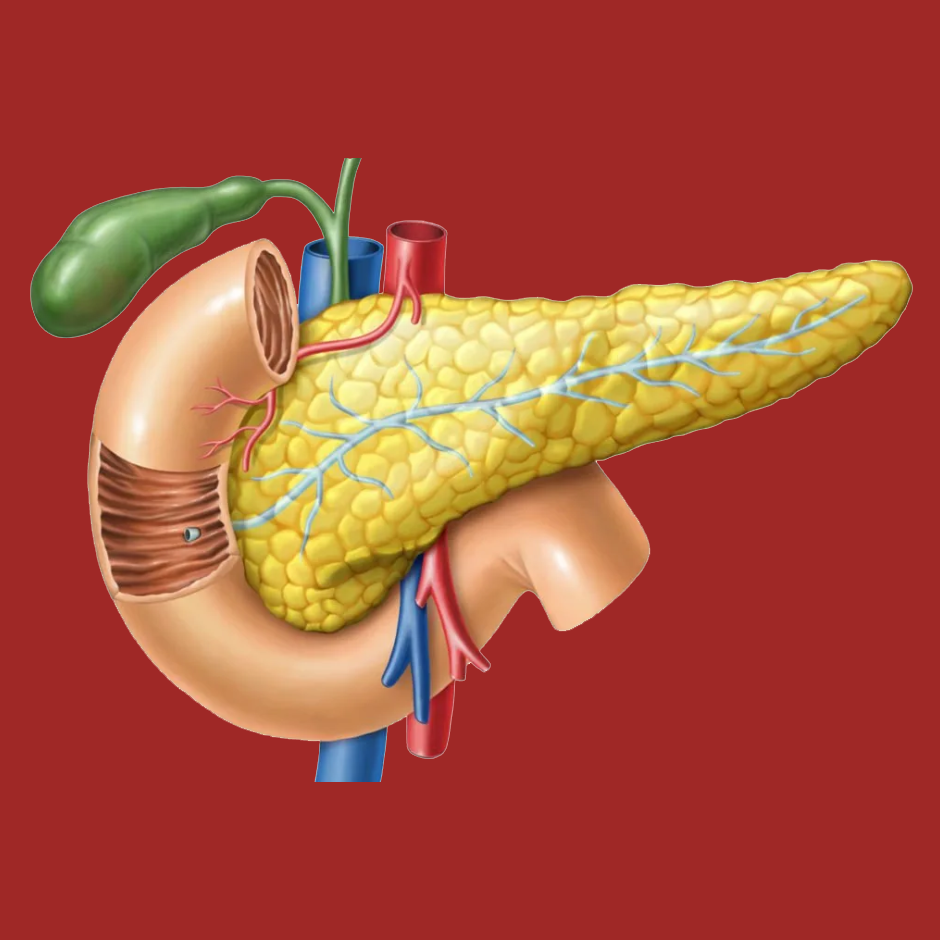 Endokrinologi&yacute;a